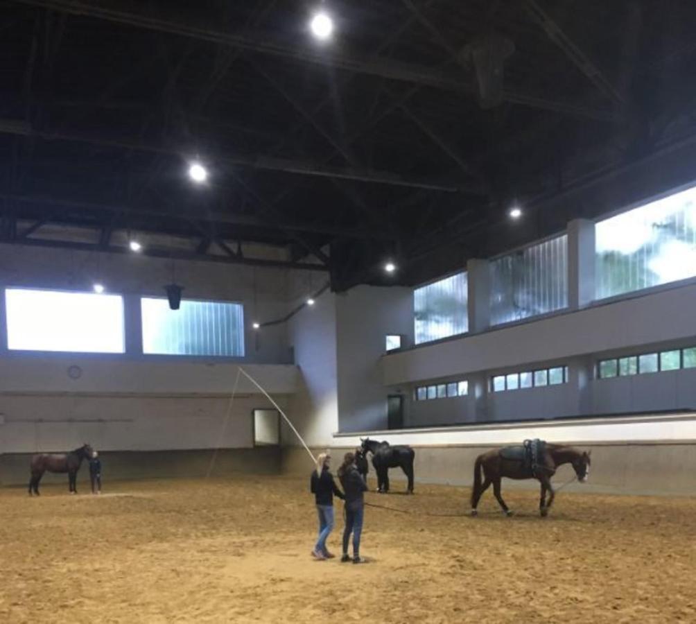 Gruga Apartment An Der Messe إسن المظهر الخارجي الصورة